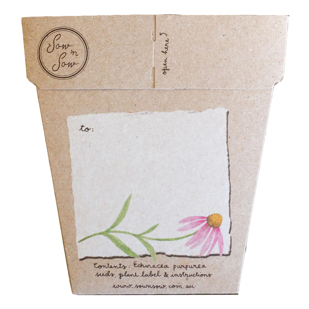 Seeds - Echinacea Gift of Seed