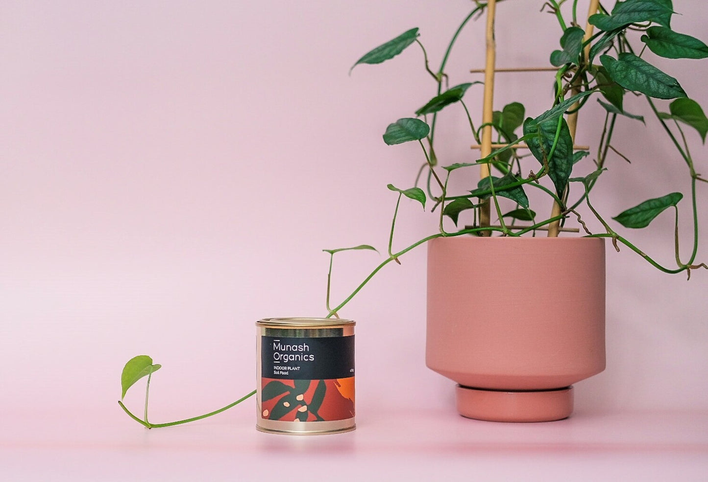 Munash Indoor Plant Soil Food