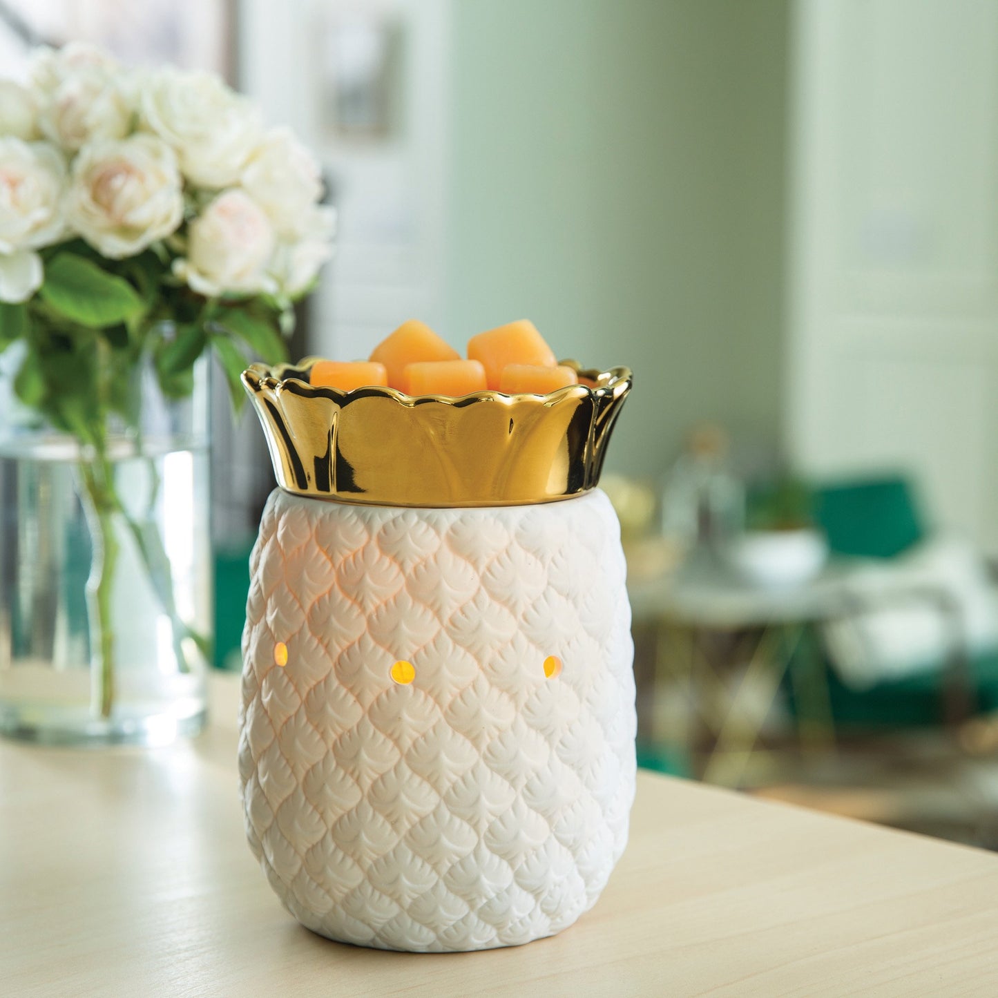 Warmer - Pineapple Illumination