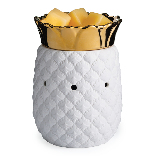 Warmer - Pineapple Illumination