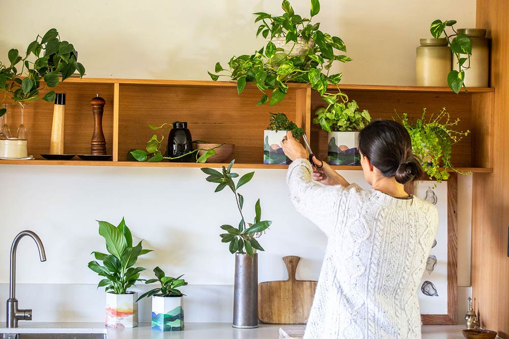 Pop Up Pot ‘Mountain’