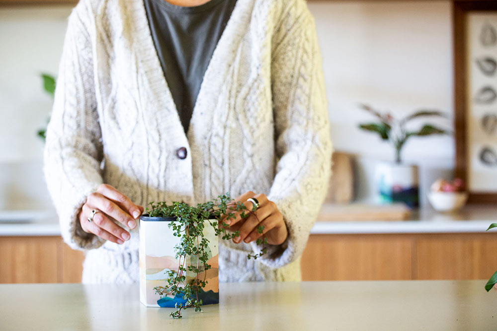 Pop Up Pot ‘Mountain’