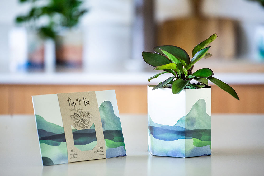 Pop Up Pot ‘Mountain’