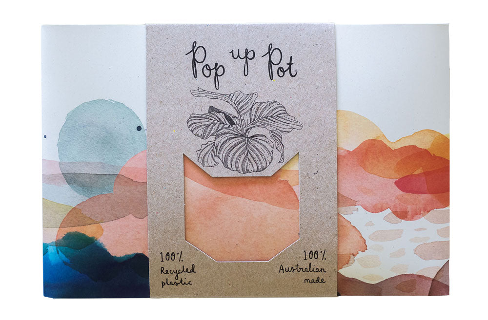 Pop Up Pot ‘Beach’