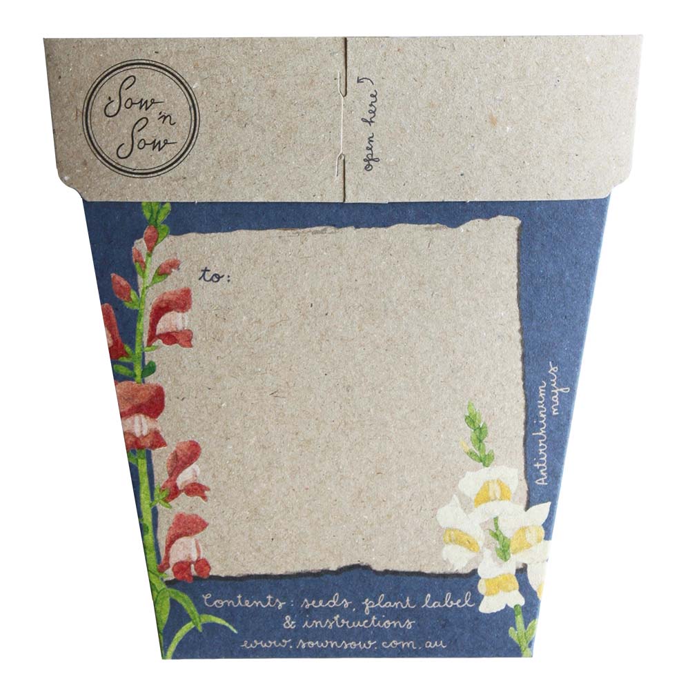 Seeds - Mother's Day Snapdragons