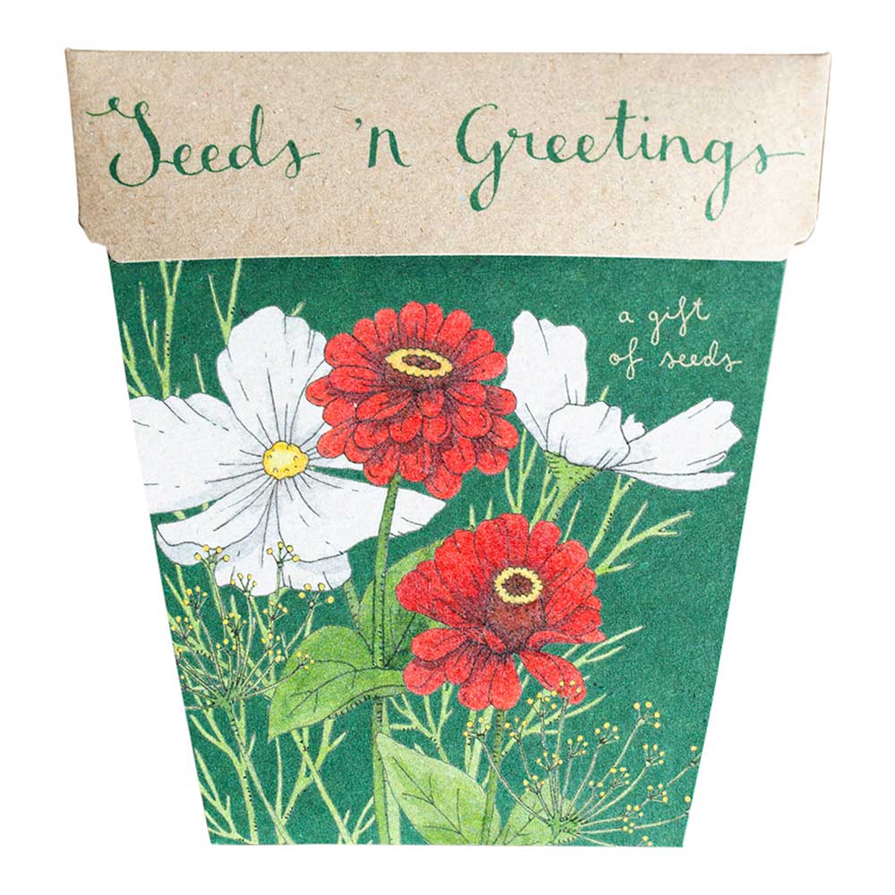 Seeds ‘n Greetings Gift of Seeds