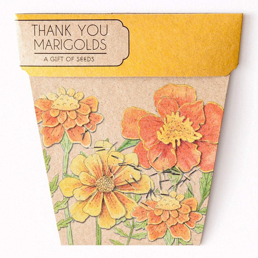 Seeds - Marigolds Gift of Seeds