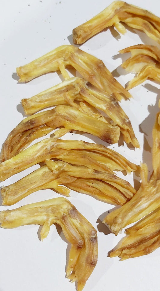 Duck Feet