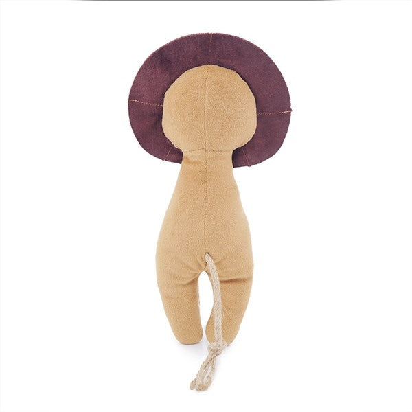 ECO friendly lion