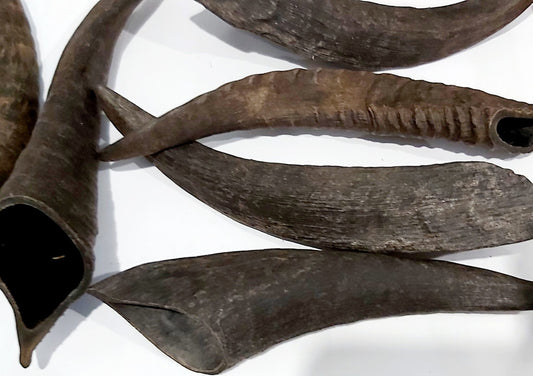 Goat Horn