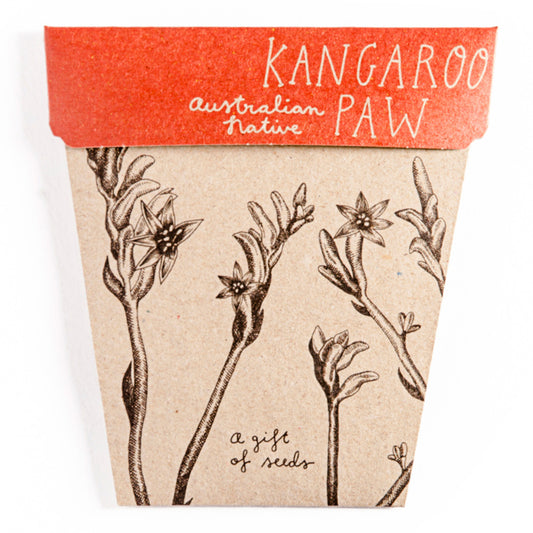 Seeds - Kangaroo Paw Gift of Seeds