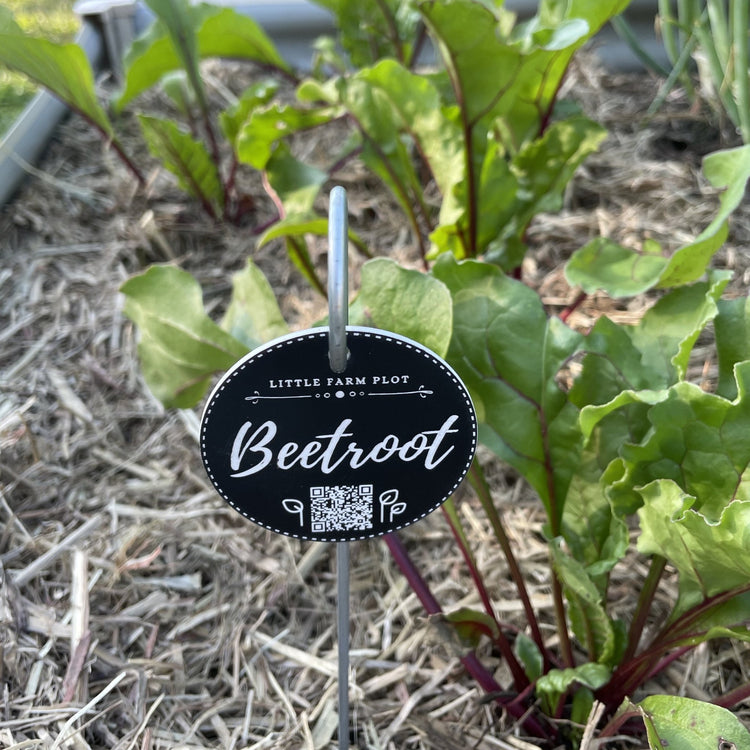 Plant Marker - Beetroot