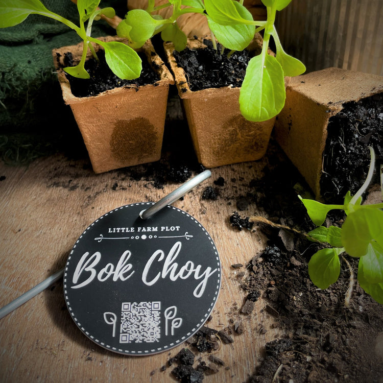 Plant Marker - Bok Choy