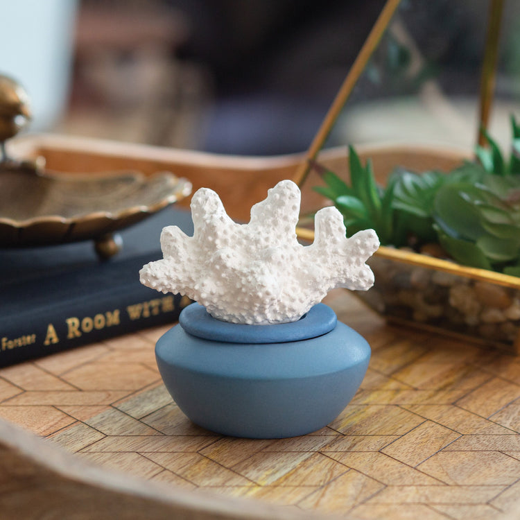 Porcelain Diffuser - Coral