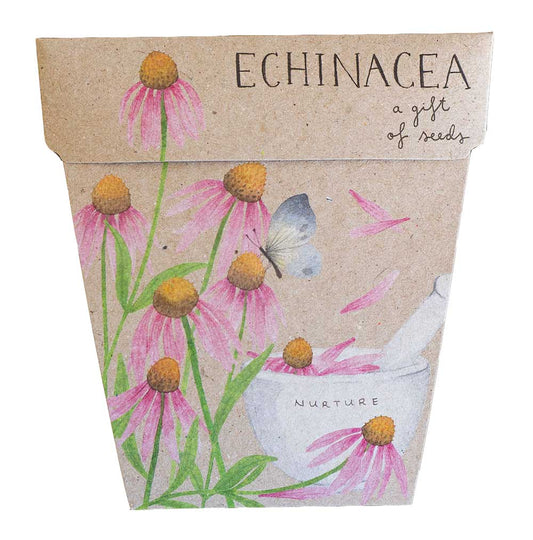 Seeds - Echinacea Gift of Seed