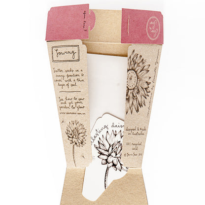 Seeds - Everlasting Daisy Gift of Seeds