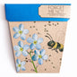 Seeds - Forget-me-not Gift of Seeds