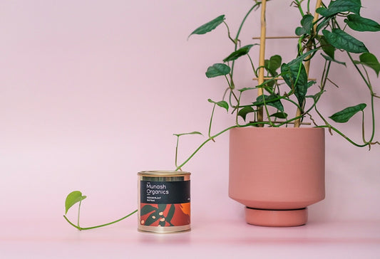 Munash Indoor Plant Soil Food