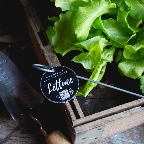 Plant Marker - Lettuce