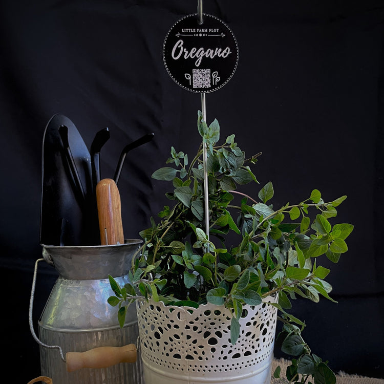 Plant Marker - Oregano