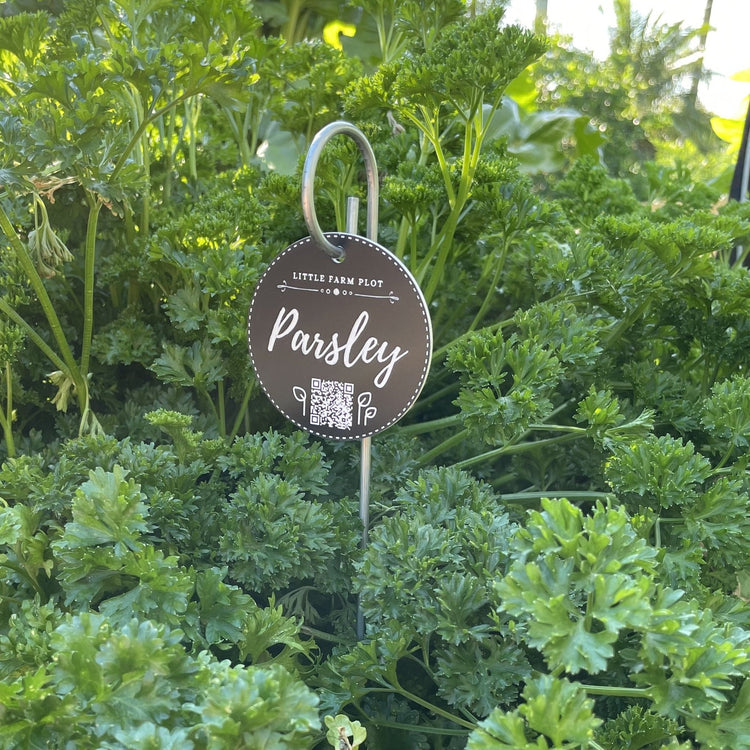 Plant Marker - Parsley