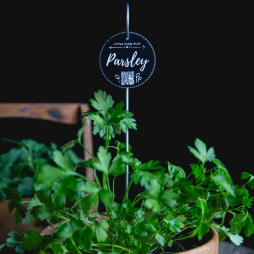 Plant Marker - Parsley