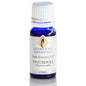 Patchouli Essential Oil