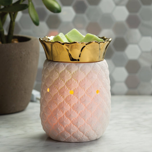 Warmer - Pineapple Illumination