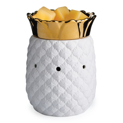 Warmer - Pineapple Illumination