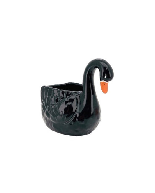 Pot - Black Swan