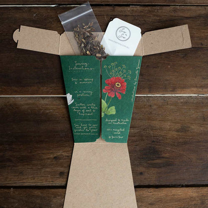 Seeds ‘n Greetings Gift of Seeds