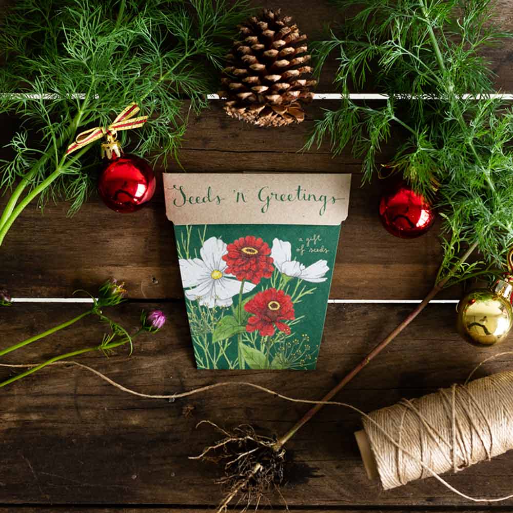 Seeds ‘n Greetings Gift of Seeds