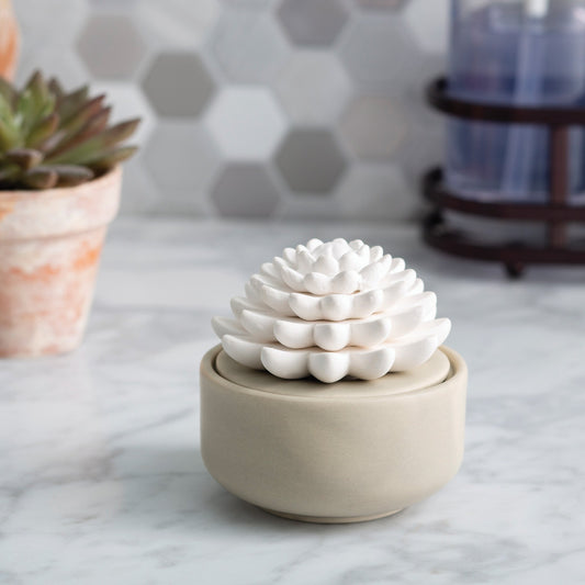 Porcelain Diffuser - Succulent