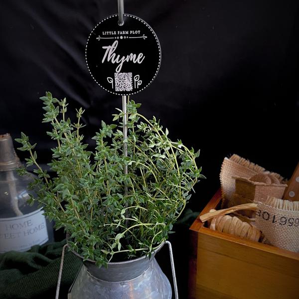 Plant Marker - Thyme