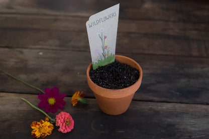 Seeds - Wildflowers