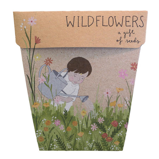 Seeds - Wildflowers