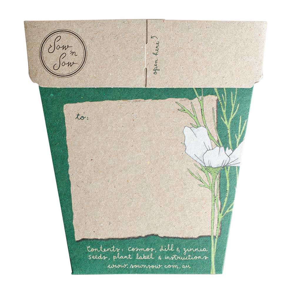 Seeds ‘n Greetings Gift of Seeds