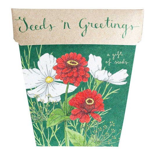 Seeds ‘n Greetings Gift of Seeds
