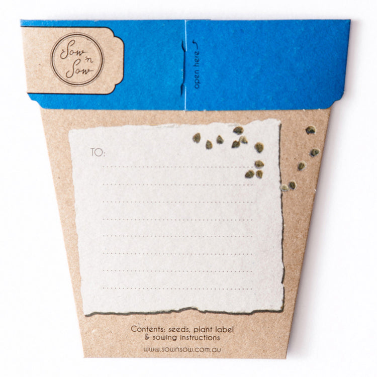 Seeds - Forget-me-not Gift of Seeds