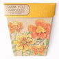 Seeds - Marigolds Gift of Seeds