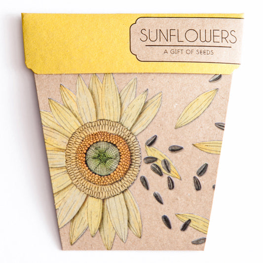Seeds - Sunflower Gift of Seeds